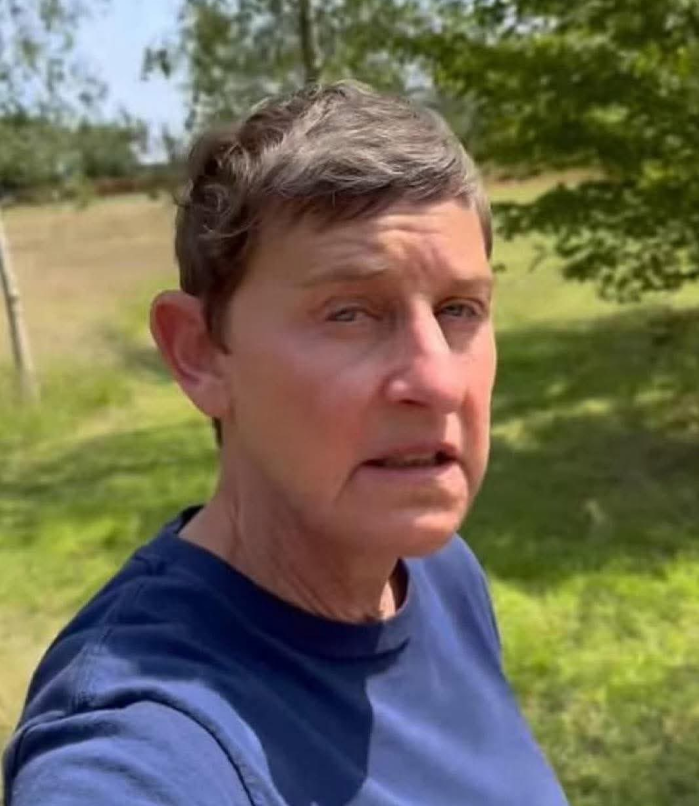 Community Notes & Violations tweet media