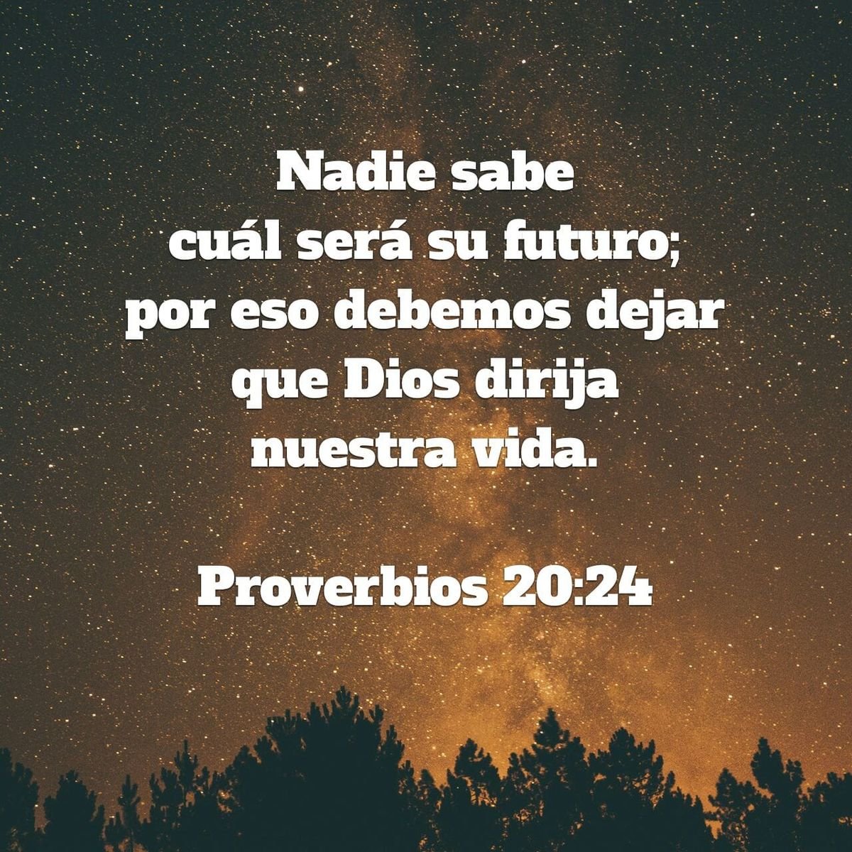FinanzaEstoicas's tweet photo. BONUS https://t.co/HuPiSaGvC7