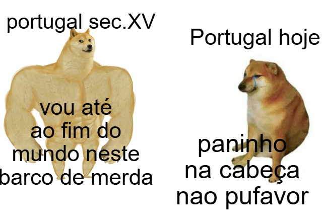 Frederico Inglês tweet media