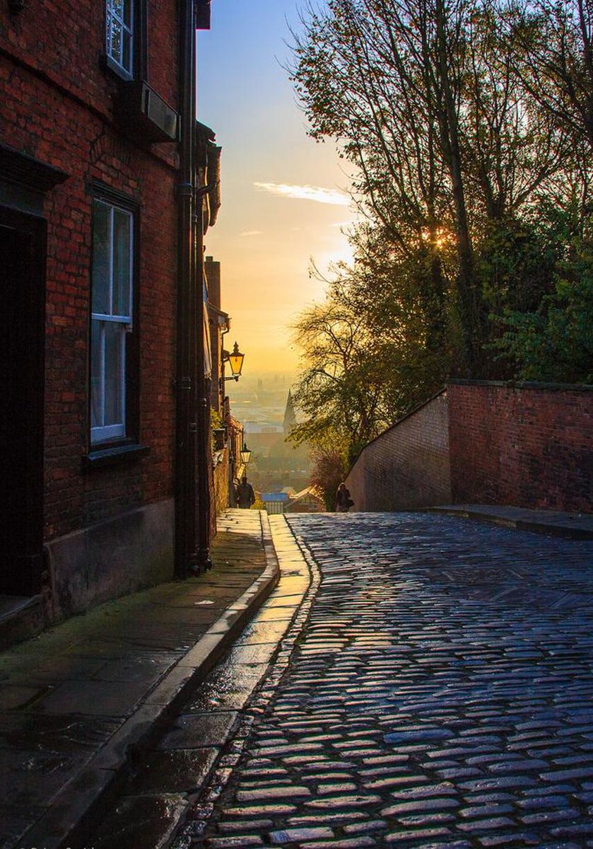 Generate_Design's tweet image. 困難に立ち向かう 🐤