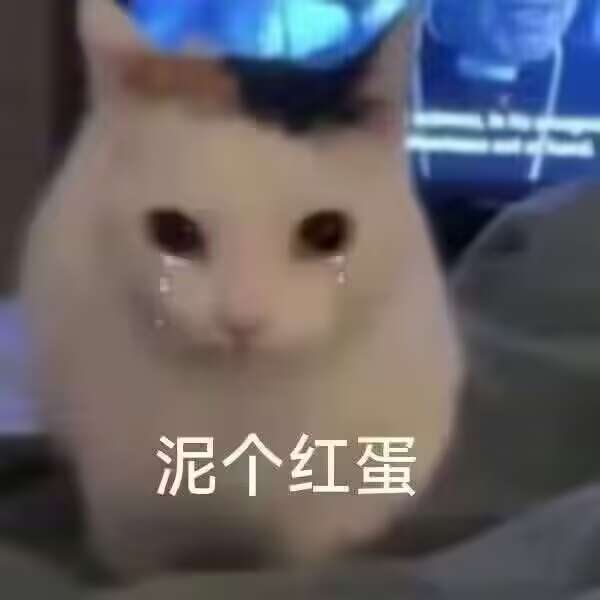 readrad1's tweet photo. 想做爱了
有个朋友说要来和我见面
结果到现在都还没回消息
想做爱了
想做爱了
想做爱了 https://t.co/wC3SonSuvs