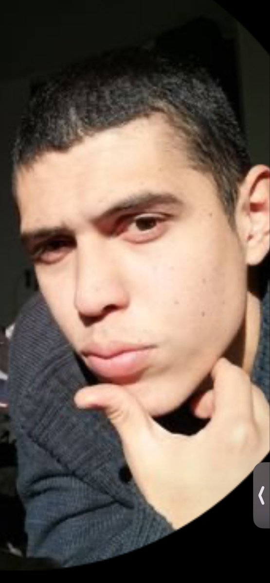 Eliana tweet media