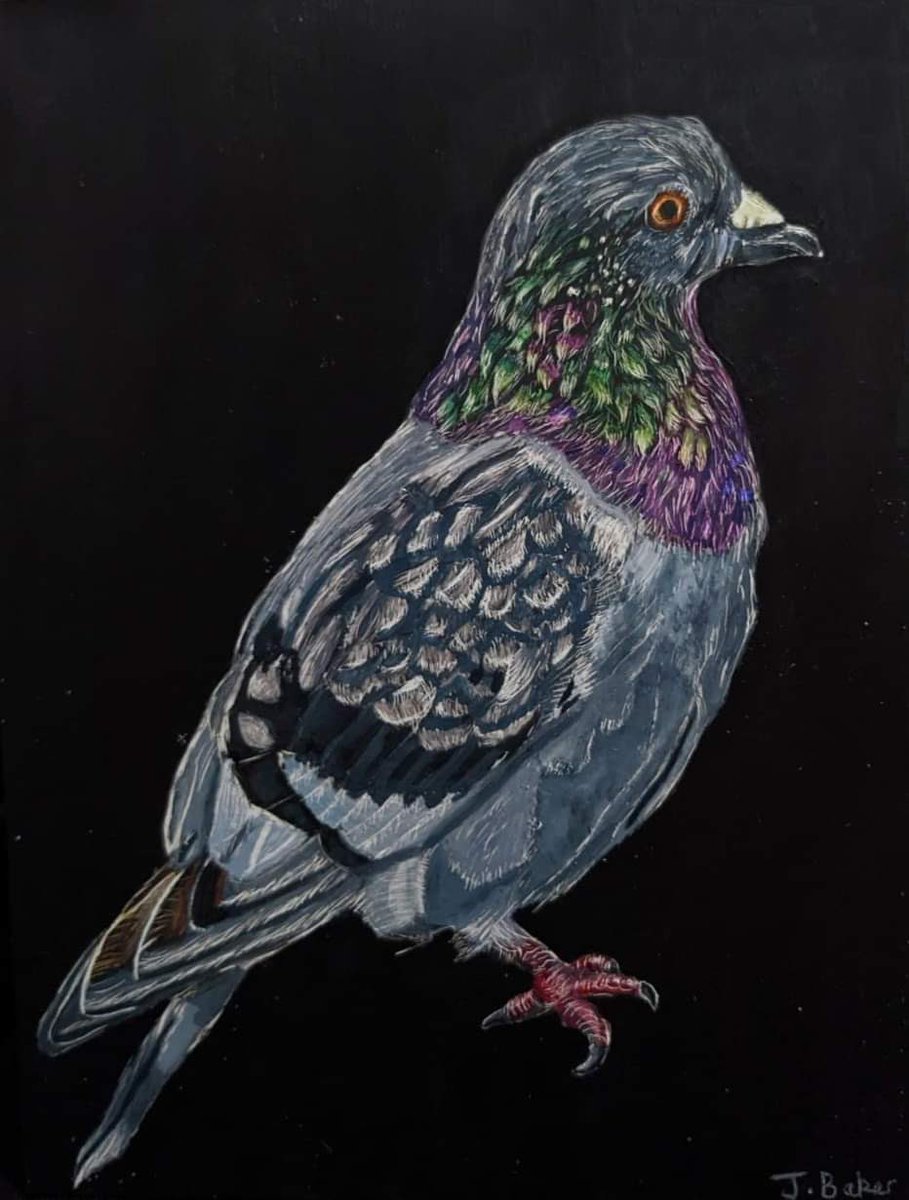sugarplum02's tweet photo. @BBCTheOneShow Really enjoyed watching Painting Birds with Jim @JamesMoir10 and Nancy Moir. Hope Jim likes my bird artwork. I love taking photos of the birds at different nature reserves and then designing them into my artwork.

Jade Baker https://t.co/rdvGHqlc6X