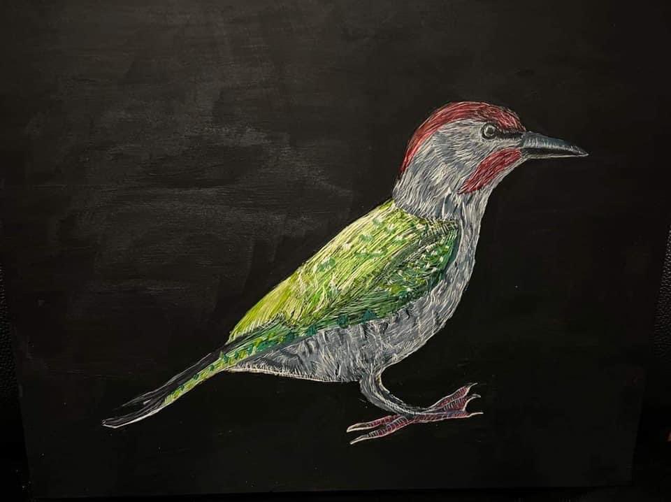 sugarplum02's tweet photo. @BBCTheOneShow Really enjoyed watching Painting Birds with Jim @JamesMoir10 and Nancy Moir. Hope Jim likes my bird artwork. I love taking photos of the birds at different nature reserves and then designing them into my artwork.

Jade Baker https://t.co/rdvGHqlc6X