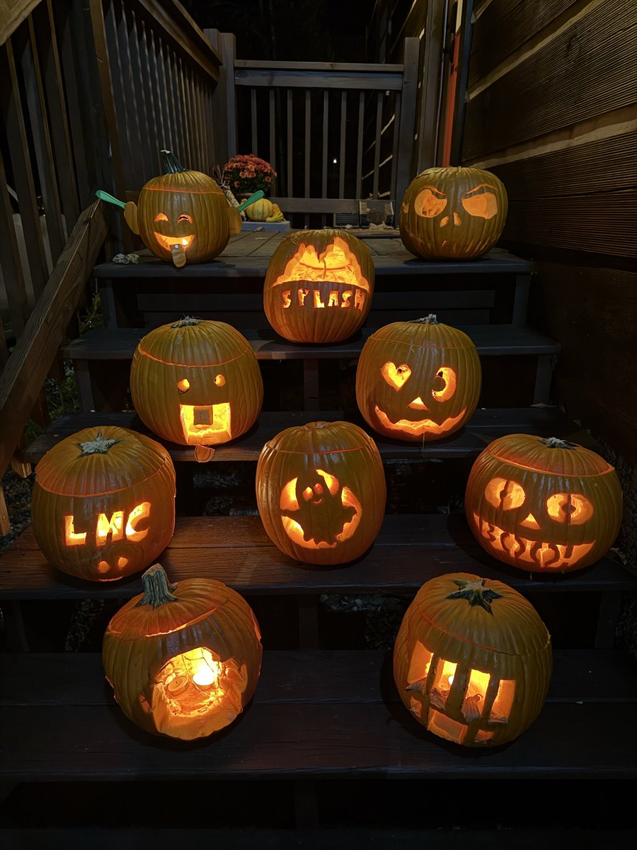 Lees-McRae Women’s Basketball tweet media