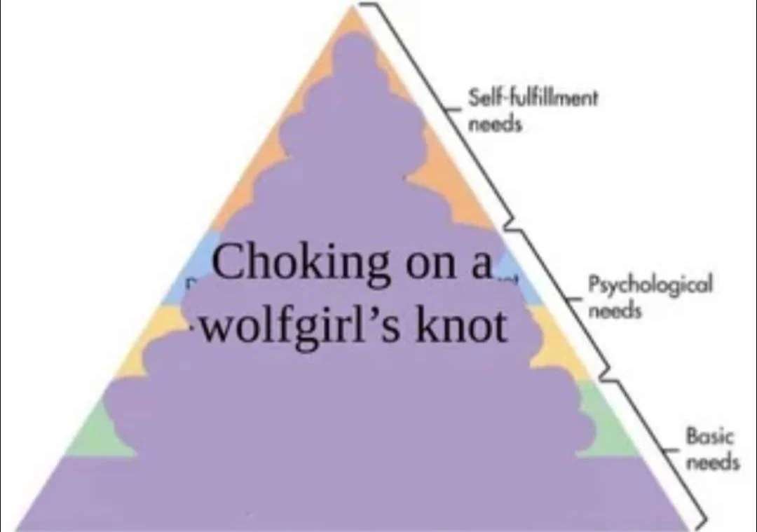 Professor M (@pareillia) on Twitter photo 