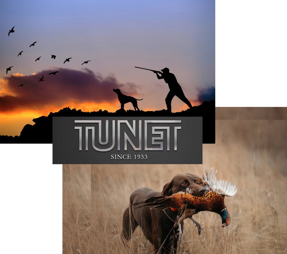 Prosper Competitive Shooting Team tweet media