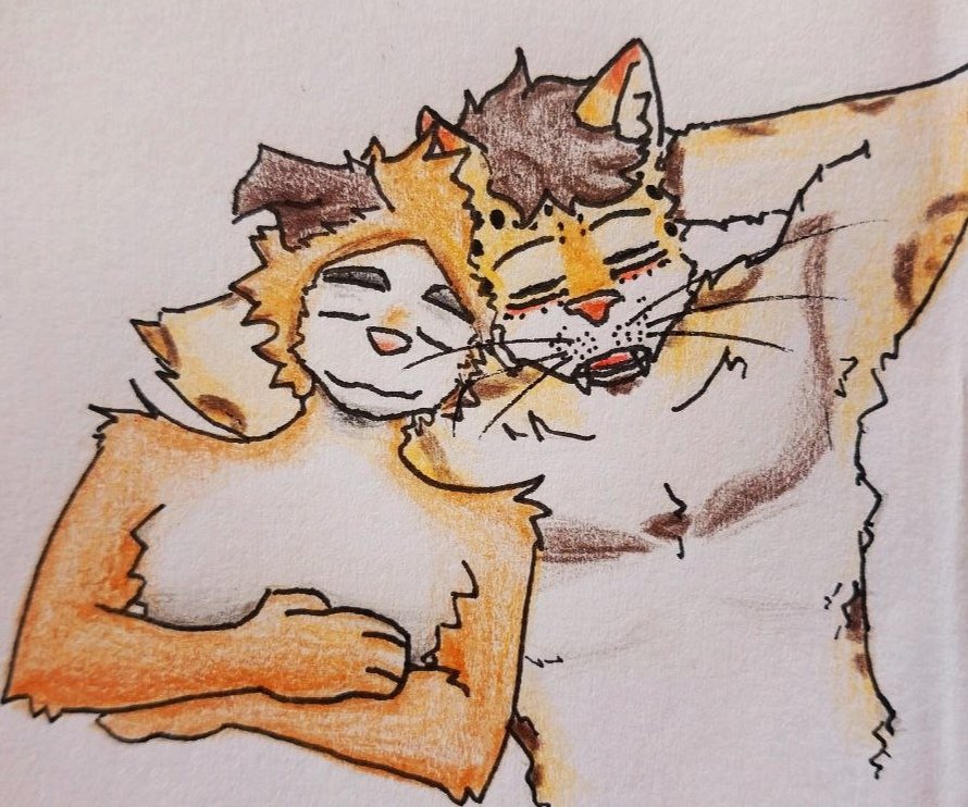 dimathly's tweet image. They were supposed to cuddle all night