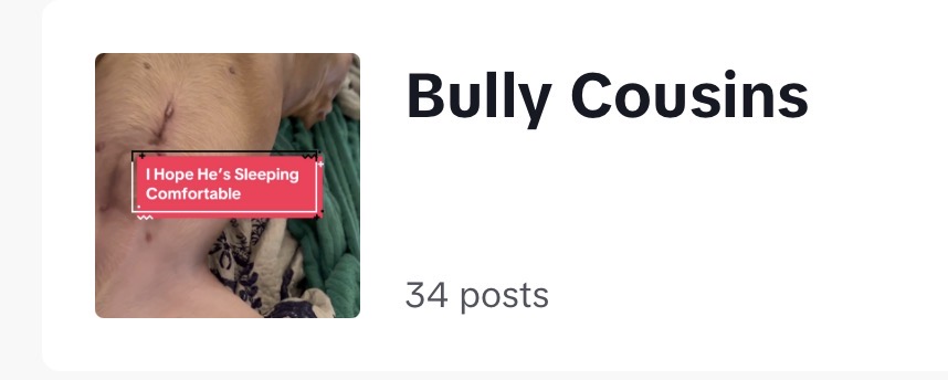 imcyrusthebully's tweet image. Check Out Our Playlist On TikTok Of Our Favorite k9’s

#canine #pitbull #tiktok 
bit.ly/cprcousinspl