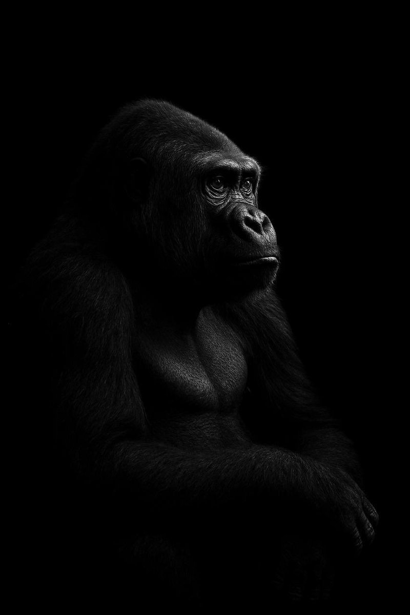 0xKaelis tweet media