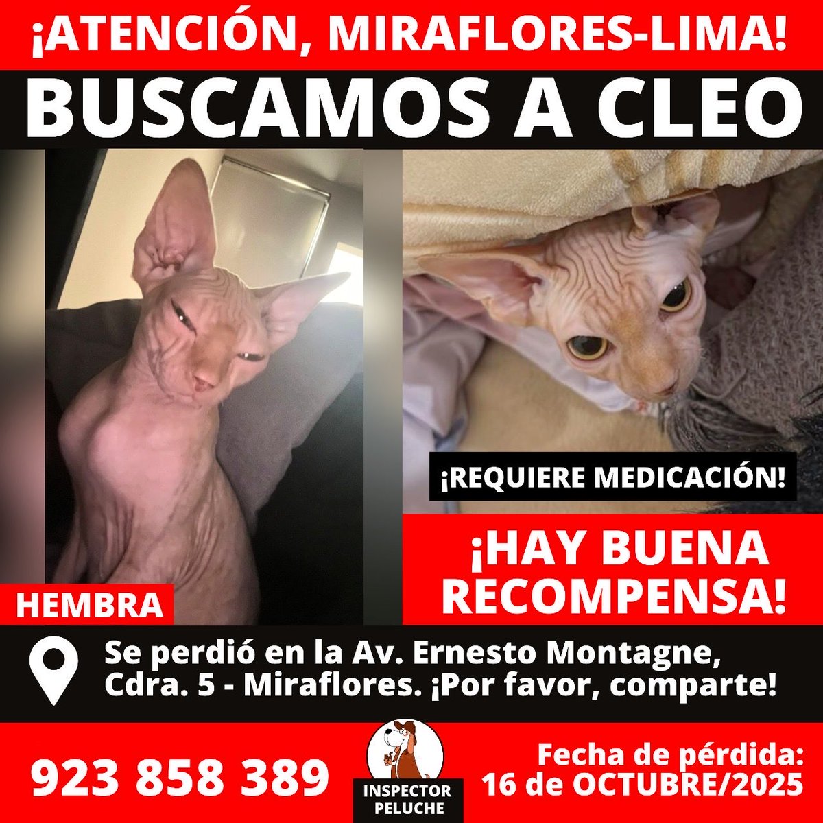 Glogloking tweet media