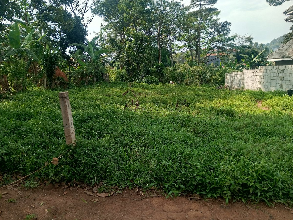shukranproperty's tweet photo. Residential PLOT For Sale on Entebbe Road
50ft by 100ftb~ #13Decimals
Located at Seguku Katale
Selling Price at #75m Ugx ( Last)
0706592177 https://t.co/SiSzcpivVJ