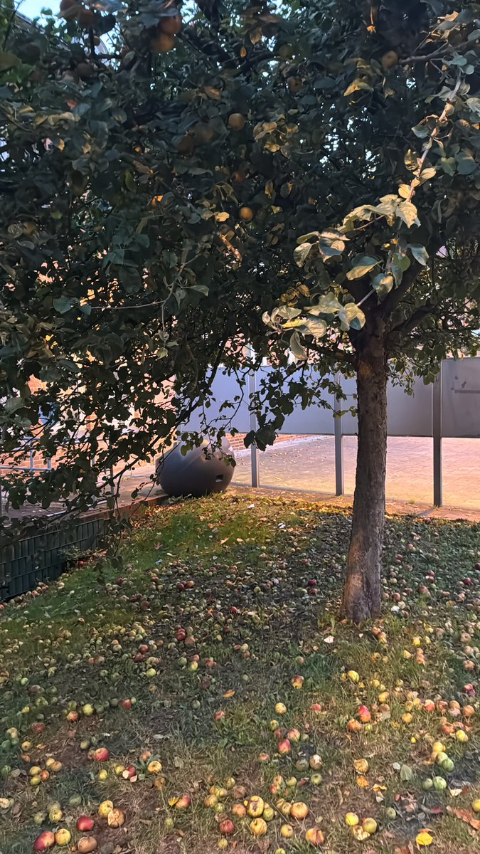 Güzel bir sesle şarkı söyleyememek,güzel sesi perdeleyen detone olmasıdır.İyi bir insan olamamak ise,kötülüğün vicdanı perdelemesidir.İyi vicdana sahip olmak için,İyi bir eğitim ve ahlaklı bir topluma sahip olmak lazım.