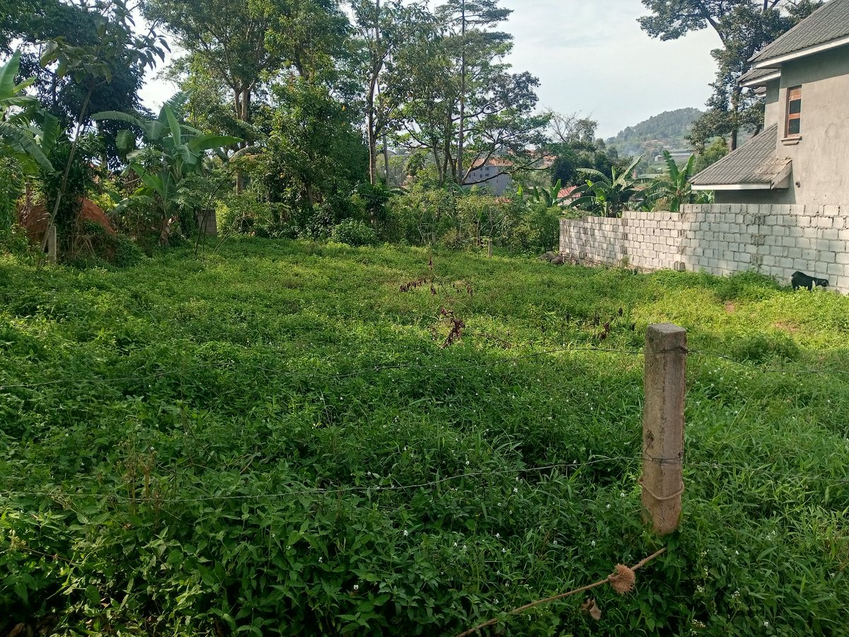 shukranproperty's tweet photo. Residential PLOT For Sale on Entebbe Road
50ft by 100ftb~ #13Decimals
Located at Seguku Katale
Selling Price at #75m Ugx ( Last)
0706592177 https://t.co/SiSzcpivVJ