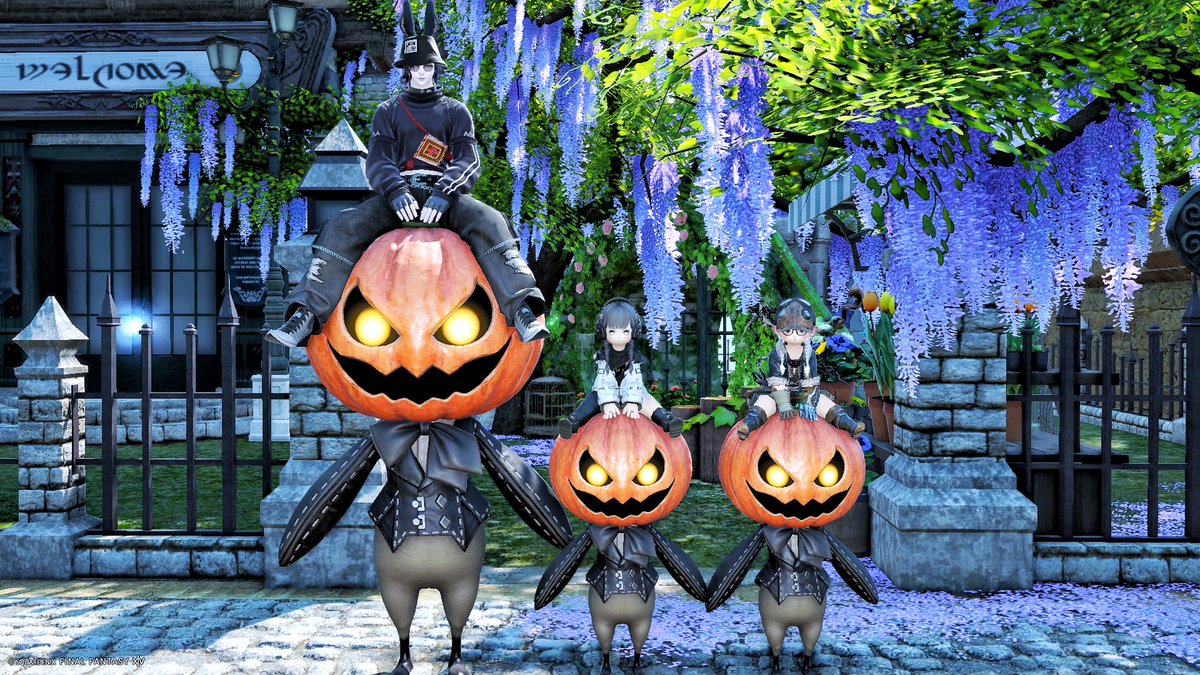 アオさん今日もとても可愛い