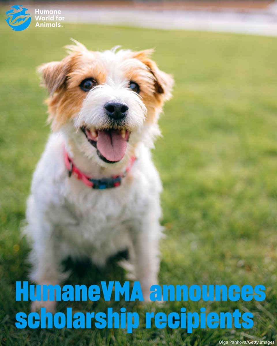 We are thrilled to congratulate the 2025 #HumaneVMA veterinary student Compassionate Care Scholarship recipients! 🎉 These five students are giving back to pets and their people and making sure the veterinary profession is inclusive and accessible to all communities. 👏 Join us