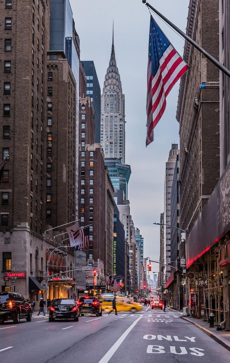 HTingelhoff's tweet image. 博物館に来る 🦽