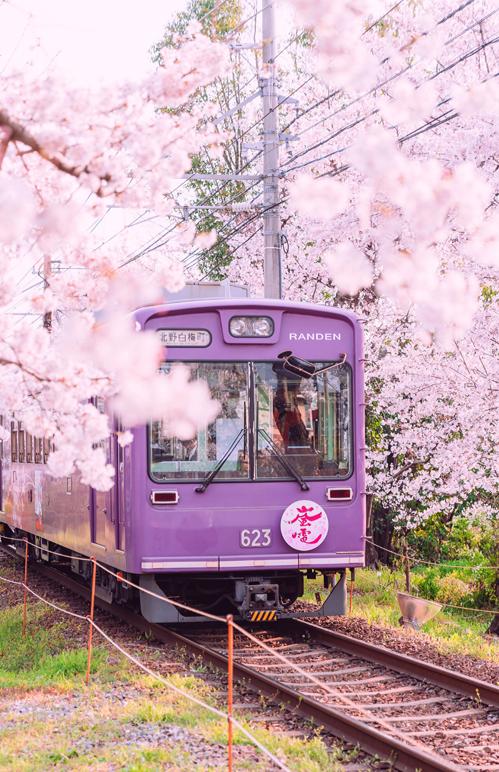 Hugo2Ax's tweet image. 花は明るいです 🖖