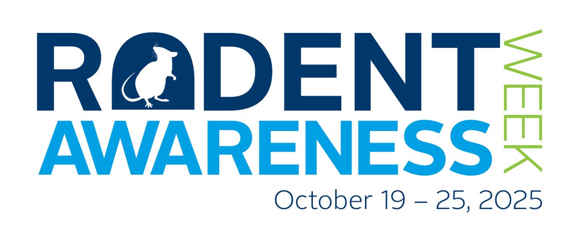 plunkettspest's tweet image. Rodent Awareness Week is here! From October 19 – 25, join us in learning how to protect your home and family from rodents this fall and winter. Stay tuned all week for tips, facts, and prevention strategies to keep your space rodent-free!

#RodentAwarenessWeek