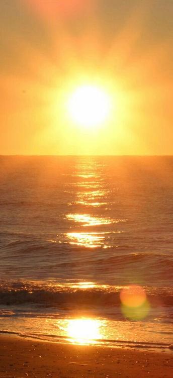 itzel_islas's tweet image. 昼の運動だよ 😁