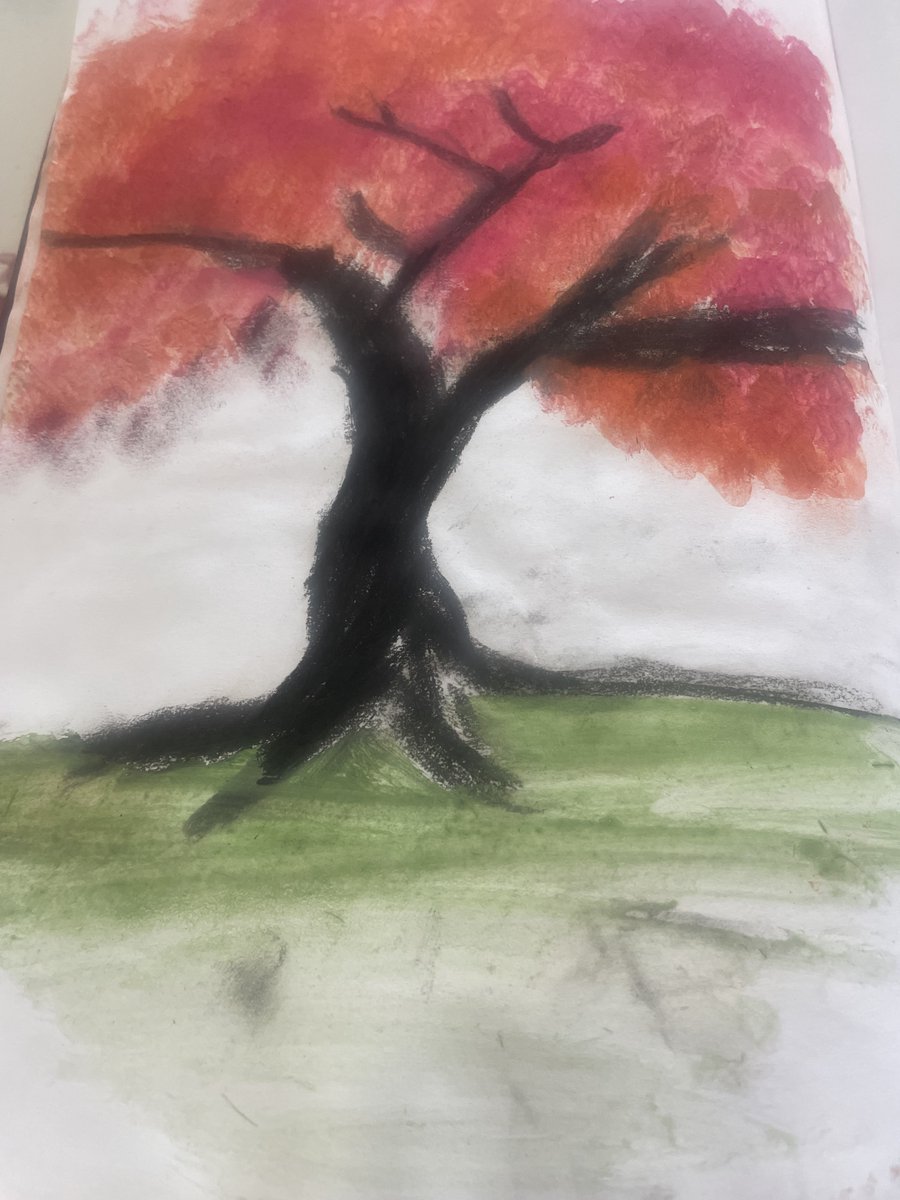 WestfieldPri's tweet photo. In preparation for our Harvest Assembly, Year 6 has been exploring the colour red — here are some beautiful samples of our maple trees! https://t.co/aFRiX20D2a