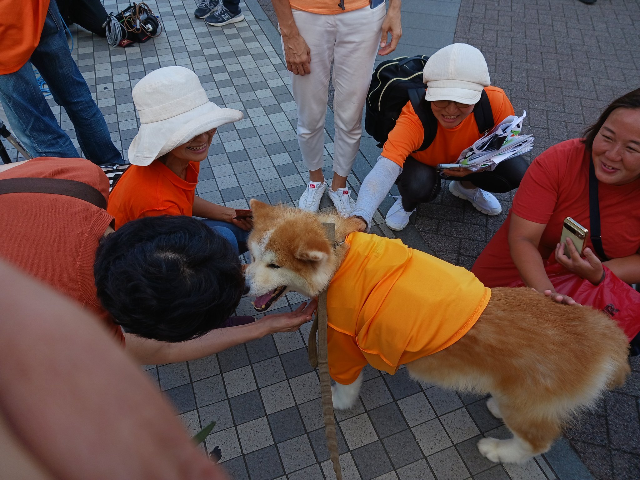 🟠くますけ父さん🇯🇵🟠 (@japanpride1888) / X