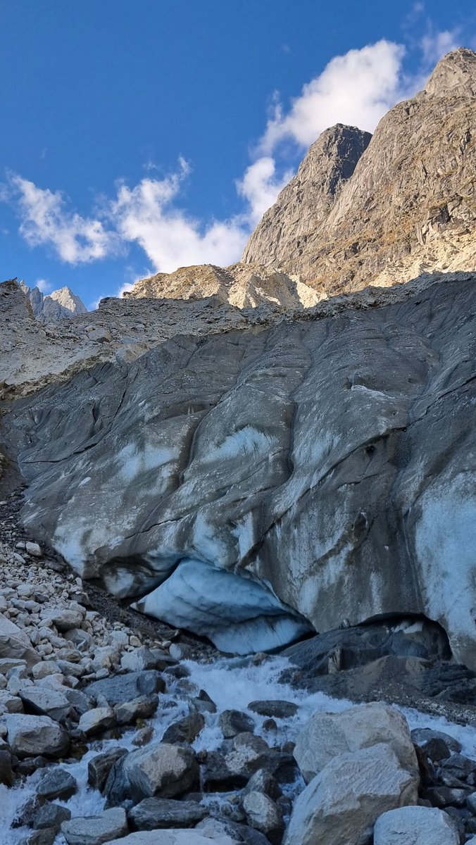 subfossilguy's tweet image. Pretty wild place ! 😱
Obviously the most secret of the large Alpine glaciers (rank=4th), this is the actual active front of Fiesch Glacier today (~1700 m asl)! 🧊🌊