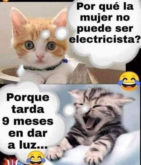 😁🤣🤣🤣🤣 ríase