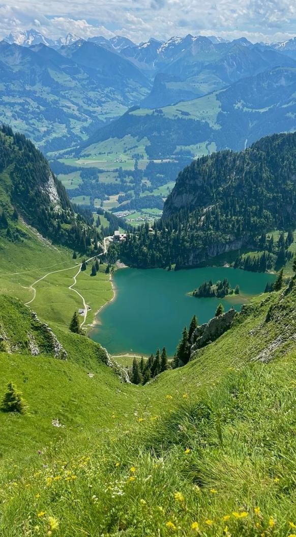 JenniferKessing's tweet image. 耳は寒いです 🤥