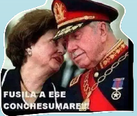 macnorebobina's tweet photo. @HQGatica https://t.co/ktZb07PsYe