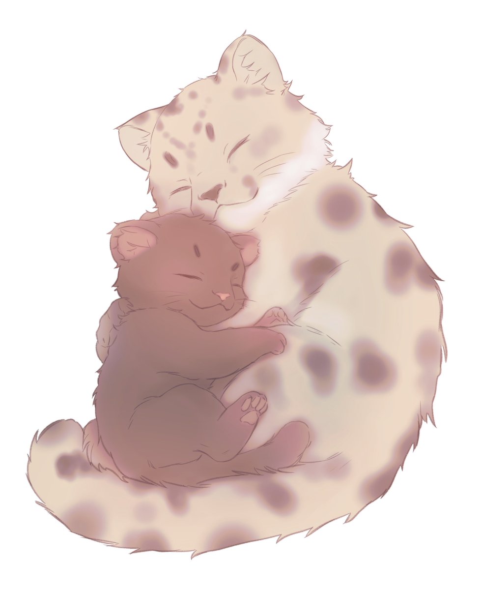 일태 고로롱🩶🤎