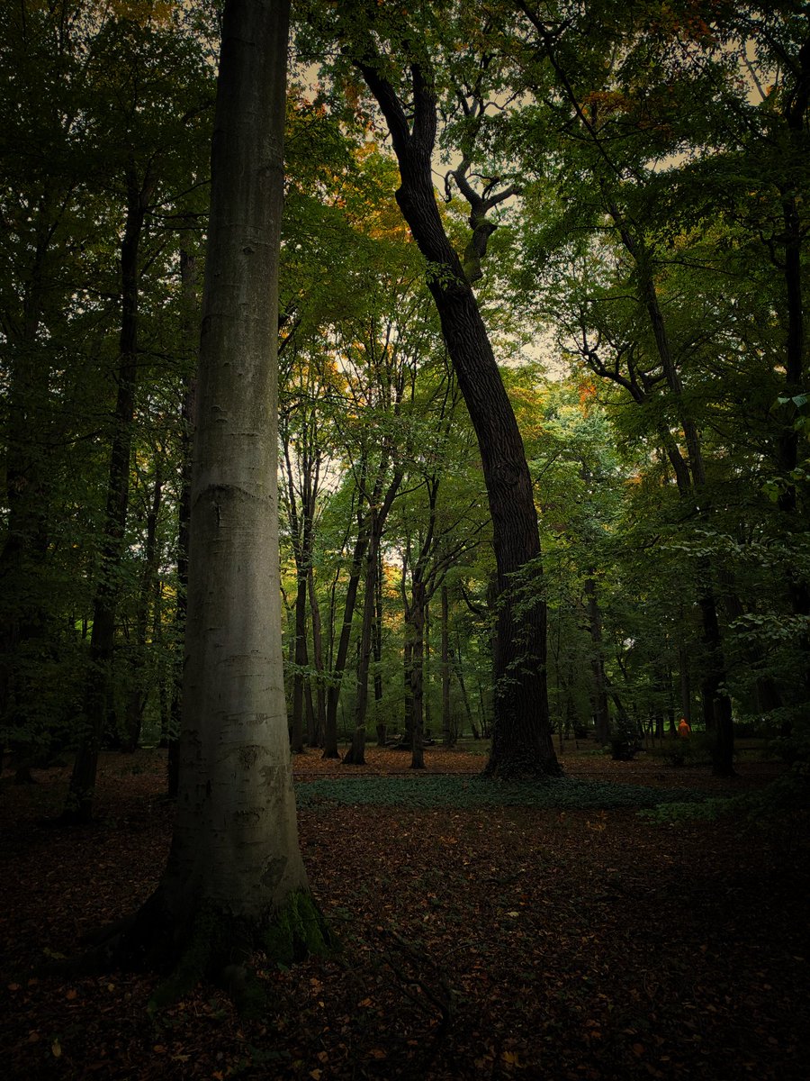 Marek Czartoryski (@markchortsnotes) on Twitter photo 