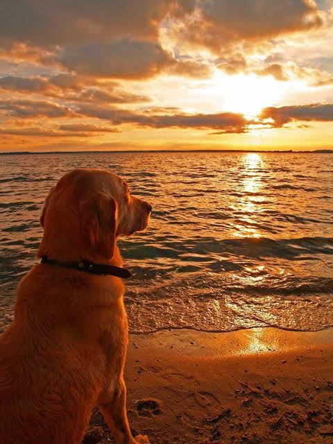 TrQuilox87's tweet image. Me taking 20 minutes to admire the codebase I cooked right before closing at work for the week