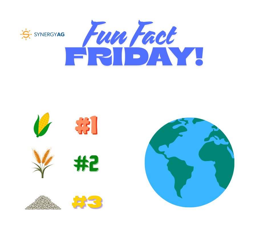 SynergyAGYktn's tweet image. #FunFactFriday !

#DYK that the top 3 crops grown world wide are:
1: Corn with roughly 1.1 billion tons produced
2: Wheat with roughly 700 million tons produced
3: Rice with roughly 500 million tons produced

#SynergyAg #rootsyoucancounton #agfacts
