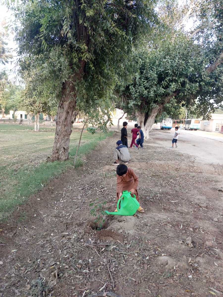 farkleth's tweet photo. ابراہیم آج پودا لگا رہا ہے 🌱❤️
نئی زندگی، نیا آغاز، سبز پاکستان کی طرف ایک چھوٹا سا قدم 🇵🇰

#ابراہیم #پودالگاؤ #سبزپاکستان #محبت_قدرت_سے #GreenPakistan #PlantationDay #IbrahimInAction https://t.co/nWTQUaQbNY
