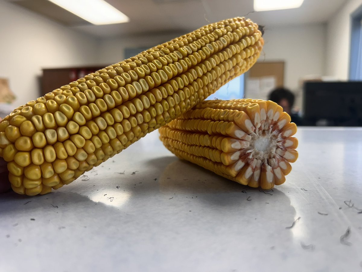 Millstone Crop tweet media