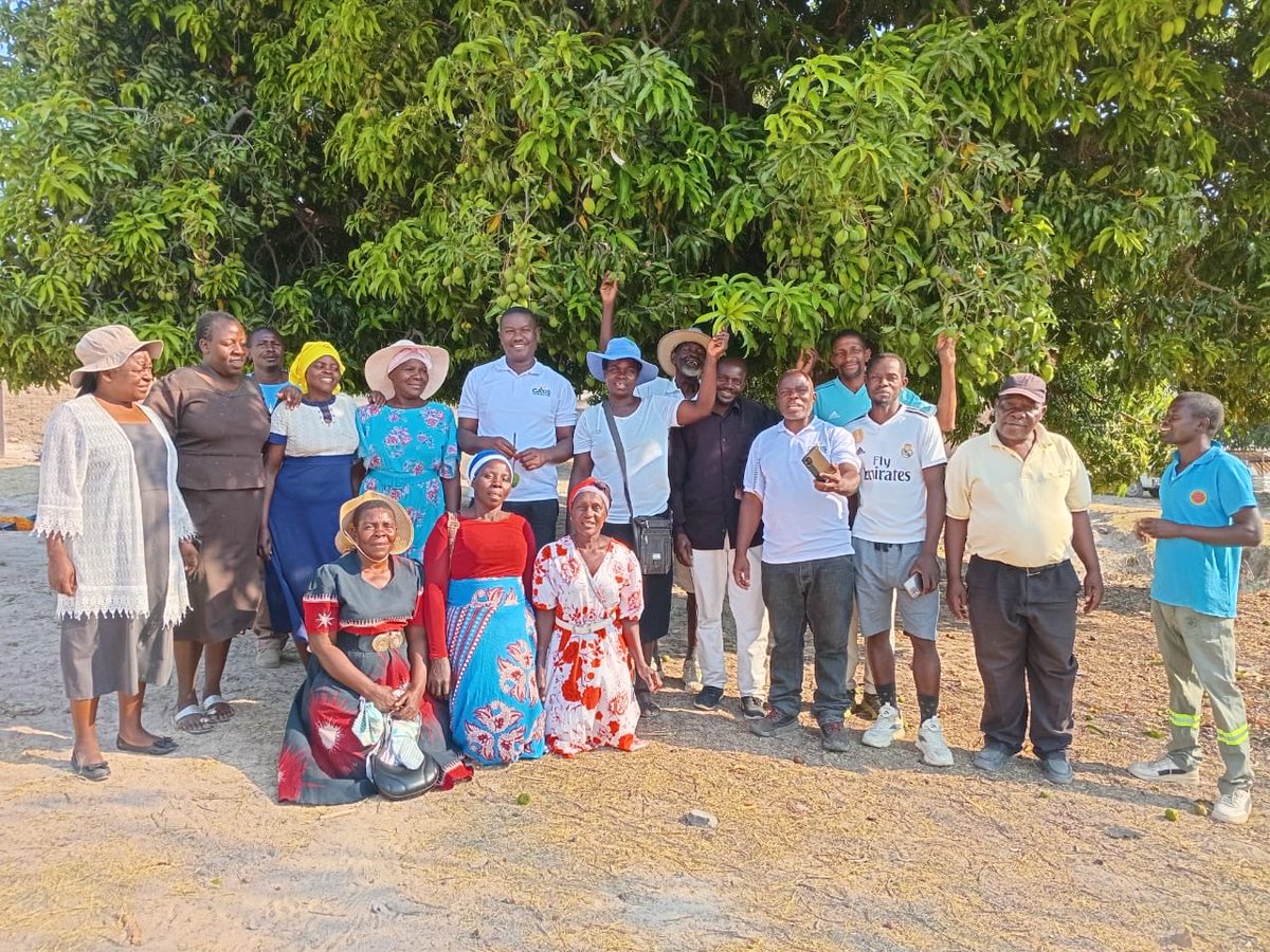 ModernAgri_Tips's tweet image. It’s always fascinating to sit with the mango farmers of Mutoko, Zimbabwe 🍋🇿🇼 — their stories, experiences, and innovations show how deeply local knowledge drives climate resilience and sustainable livelihoods. 🌱
#MangoFarm #ClimateResilience #RuralVoices #Zimbabwe #WomenInAg