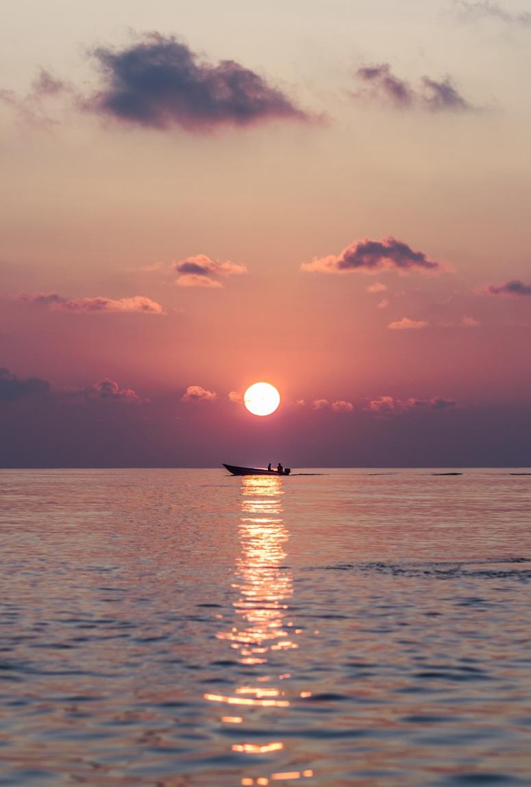 めっちゃ嬉しいだよ 🦌