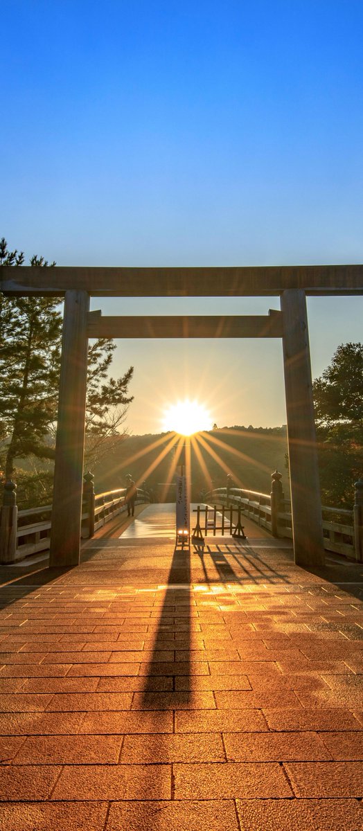 s211971's tweet image. 夢が少ない 🕷️