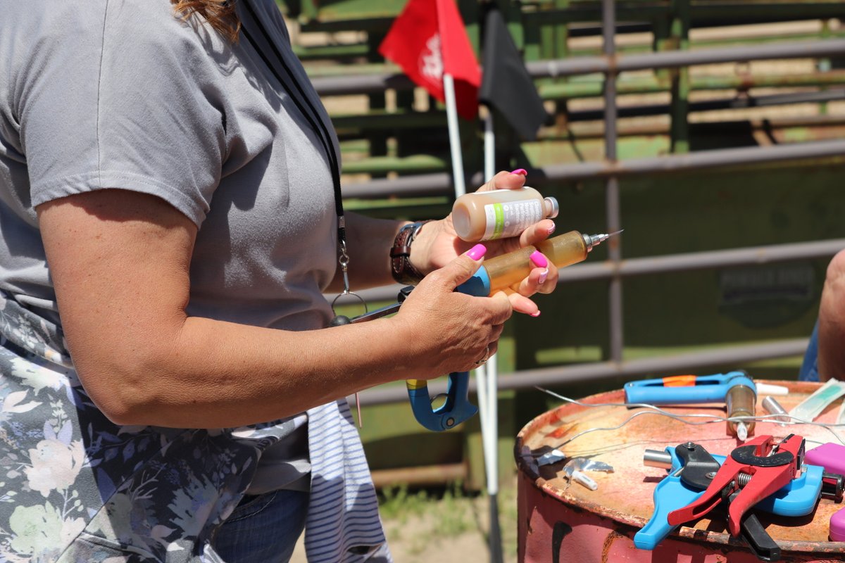 The next generation of rural veterinarians starts here. 🩺

Young Nebraska Women in Agriculture, apply today for the Nebraska Elite 11 Veterinarian Program to earn financial assistance and a clear path to a career as a veterinarian in Nebraska. ›› casnr.unl.edu/nebraska-elite… 📲
