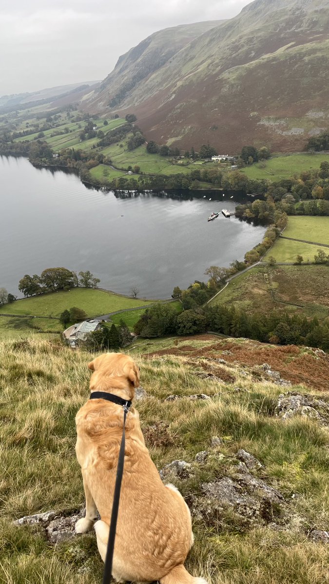 CharlesBewley2's tweet photo. Wilson boat watching 👀🐾😀#Howtown #Steamer #Ullswater https://t.co/f9FTfAFqRX