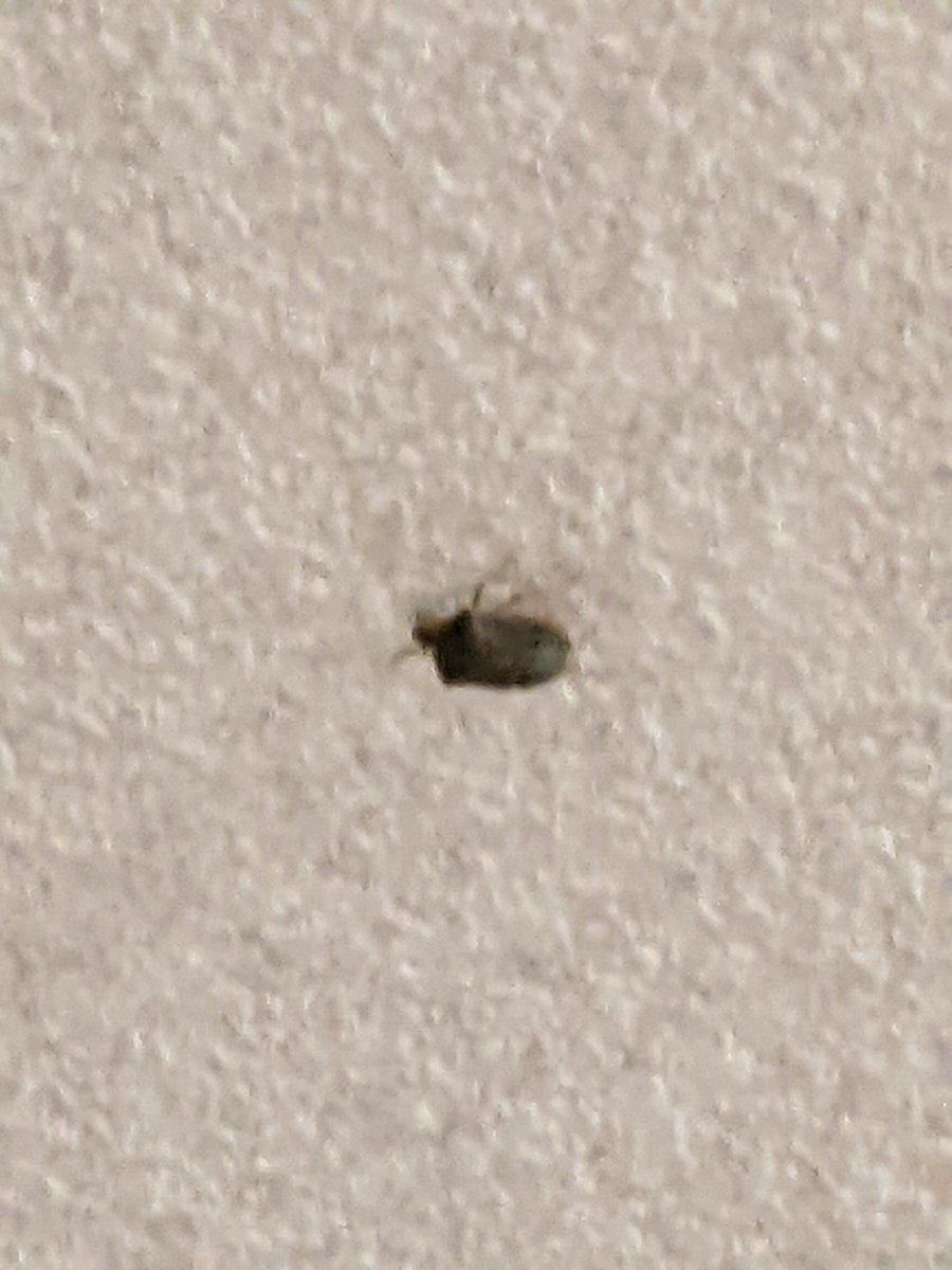 🇯🇵ちのちゃんはみゆきち🎌💕🍀 on X