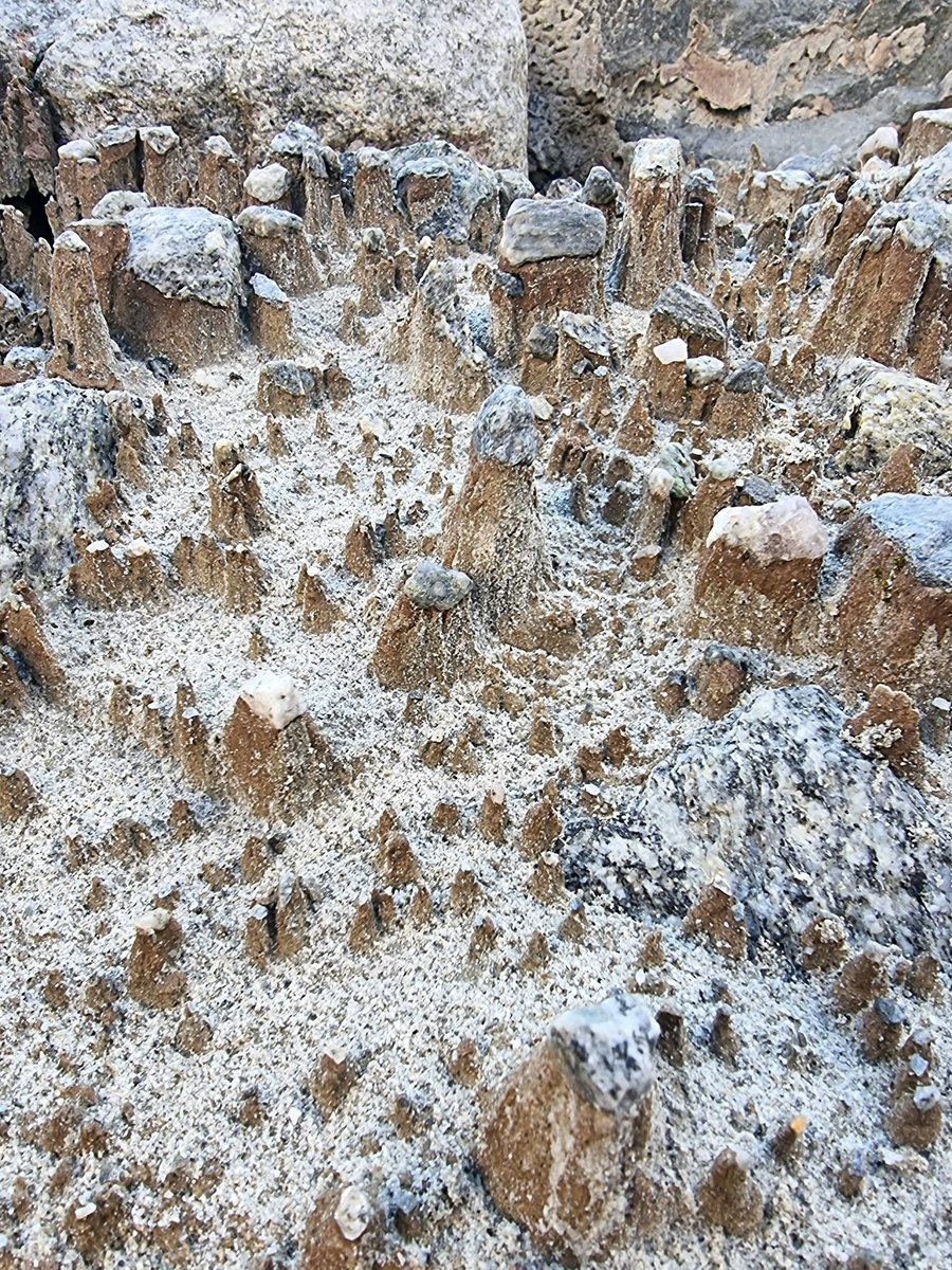 subfossilguy's tweet image. This totally made my day! 🥰
Absolutely cute cm-scale differential erosion landforms spotted today in the forefield of Fiesch Glacier!
Looks like a fairytale scenery! 🤍
If this has a name, I want to know it!