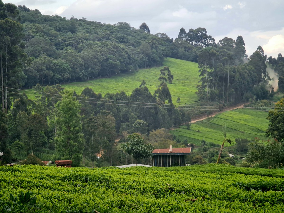 We grew up in a very beautiful village.