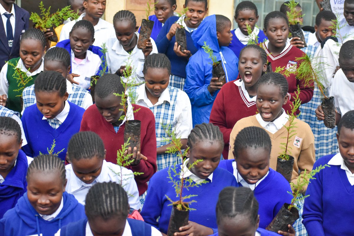 Youths For Green Action Kenya tweet media