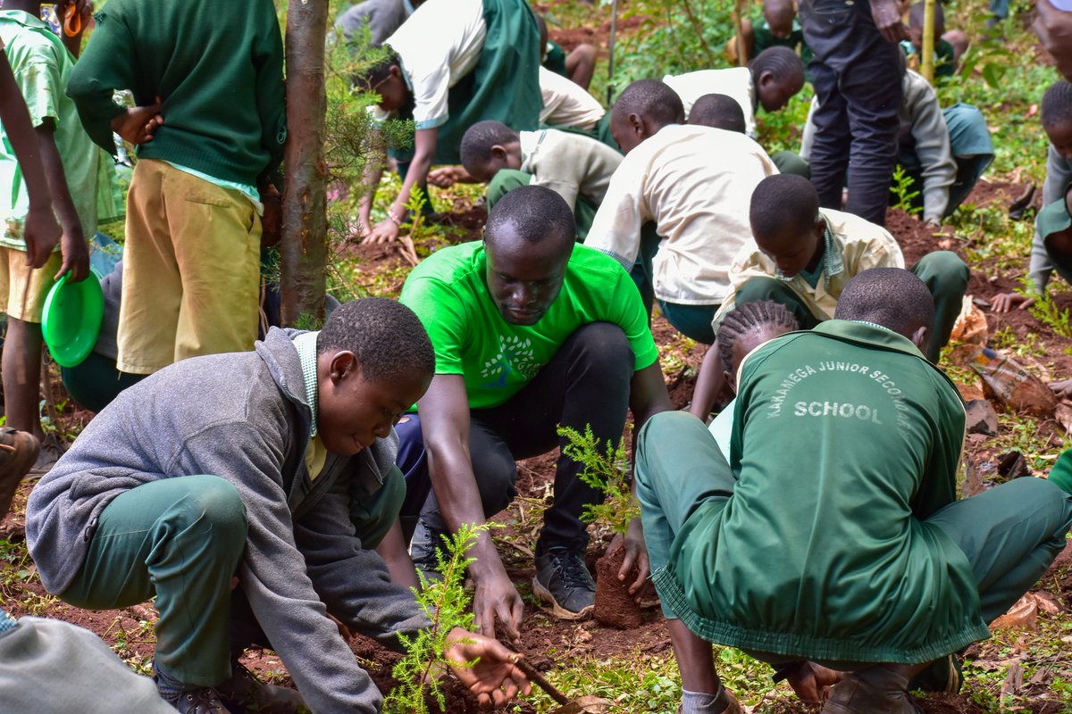 Youths For Green Action Kenya tweet media