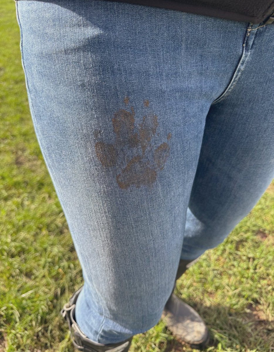 Sign of a good walk 🐾