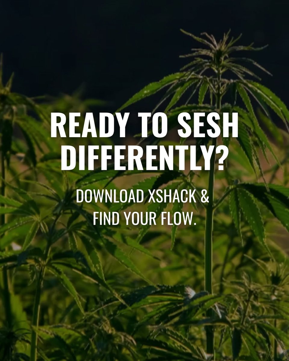 xshackai's tweet photo. 📲 XShack is your pocket-smart budtender and deal-hunter in one sleek app:⁣

1️⃣ Build a Custom Journey 
2️⃣ Swipe the Best 🌿 for You 
3️⃣ Price-Check Like a Pro 
4️⃣ Tap the Interactive Map 
5️⃣ Articles &amp; Tips 
⁣
Link in bio to get early access! https://t.co/lOiiCIusX2