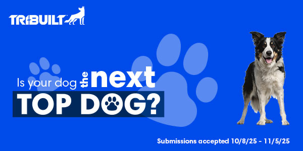 RoofCoffeeShop's tweet image. Is your dog the next Top Dog? #TRIBUILT is giving you a chance to show off your best bud in the TRI-BUILT Top Dogs Calendar Contest.

Submissions accepted through 11/5/25. 
go.qxo.com/topdogs/rcs

#QXO #RoofersCoffeeShop #RoofingProfessionals #RoofingContractors #RoofingIndustry