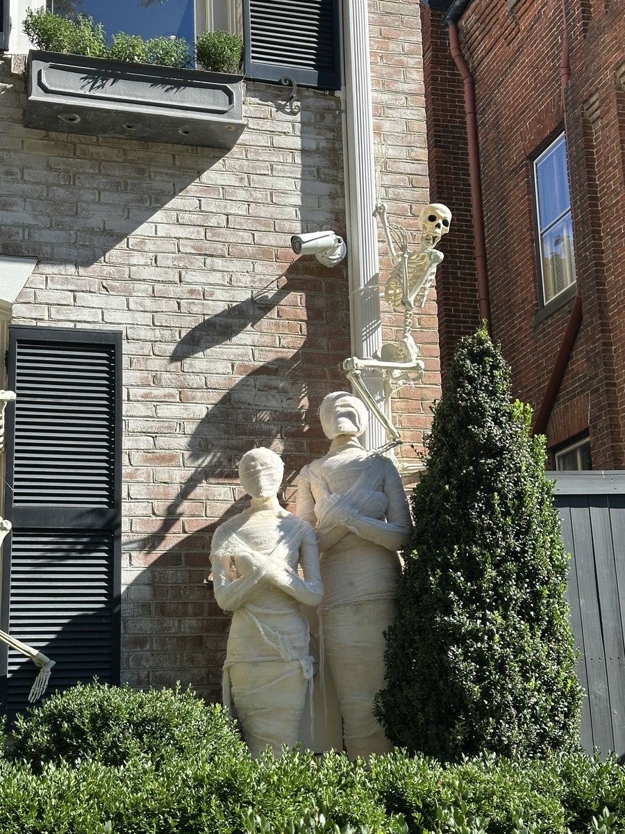 Halloween truly is the greatest in D.C.